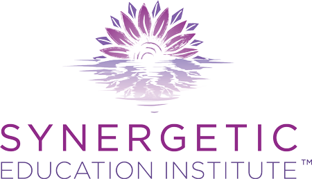 Synergetic Education Institute Logo