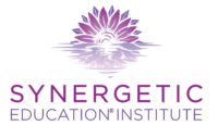 Synergetic Education Institute Logo