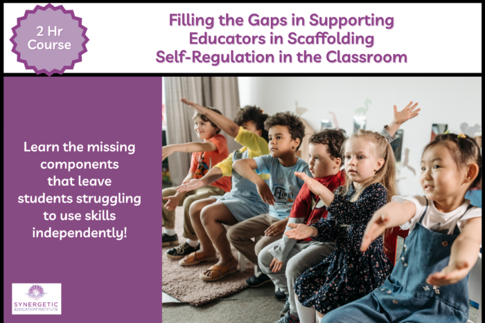 Filling the Gaps in Supporting Educators in Scaffolding Self Regulation in the Classroom