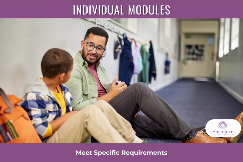 Individual Modules Male teacher and student in the hallway in sitting against the wall having a discussion. Text on image says individual modules meet specific requirements. Synergetic Education Institute logo included in bottom right-hand corner.